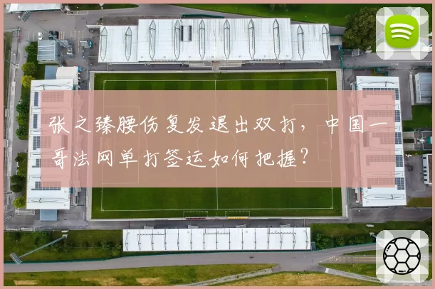 张之臻腰伤复发退出双打,中国一哥法网单打签运如何把握?