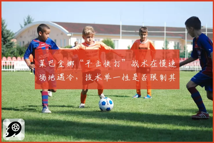 莱巴金娜“平击快打”战术在慢速场地遇冷，技术单一性是否限制其上限？