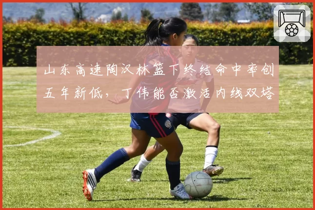 山东高速陶汉林篮下终结命中率创五年新低，丁伟能否激活内线双塔？