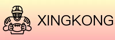 XINGKONG星空体育 Logo